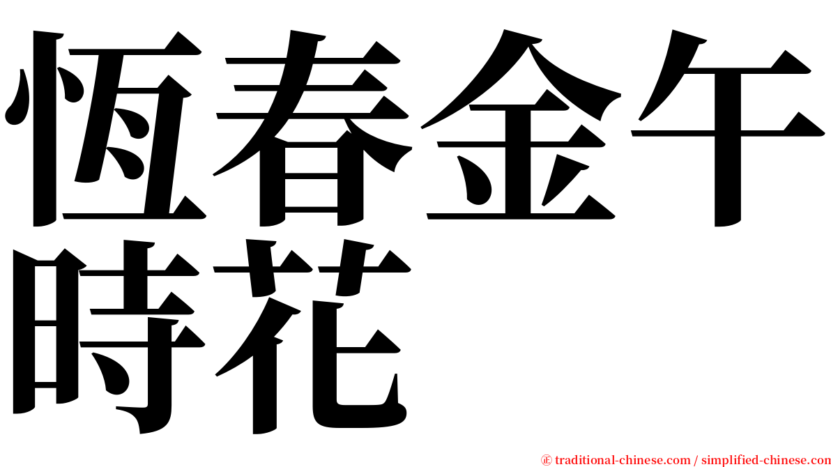 恆春金午時花 serif font