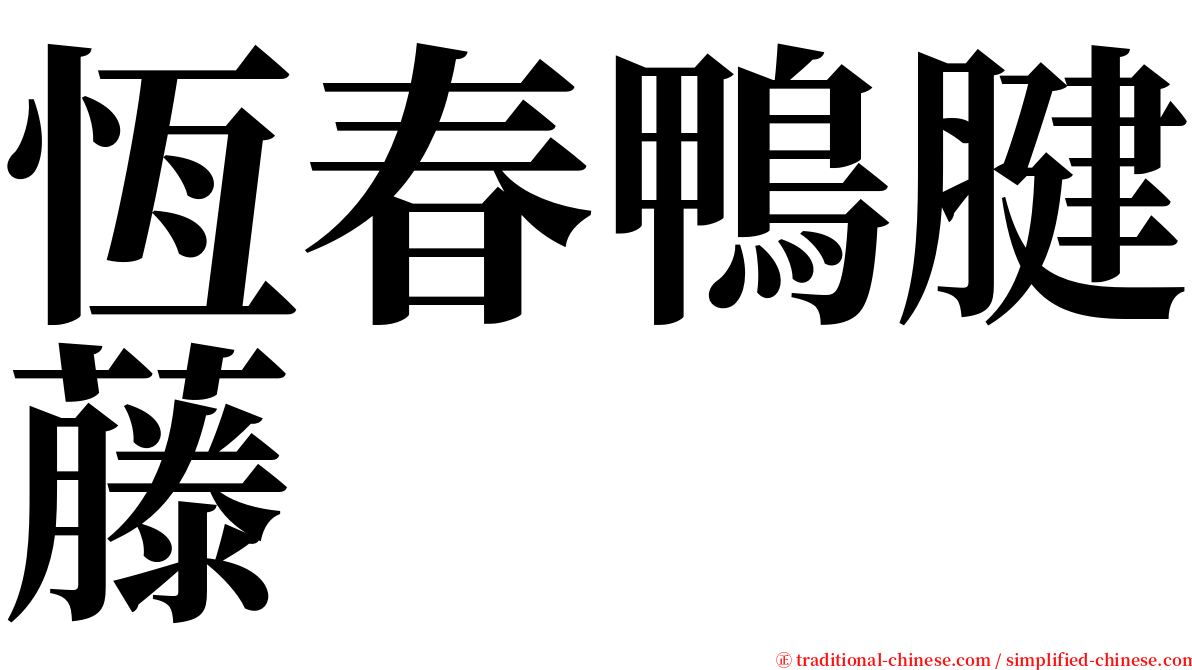 恆春鴨腱藤 serif font