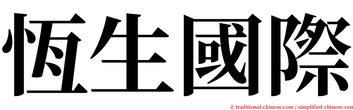 恆生國際 serif font