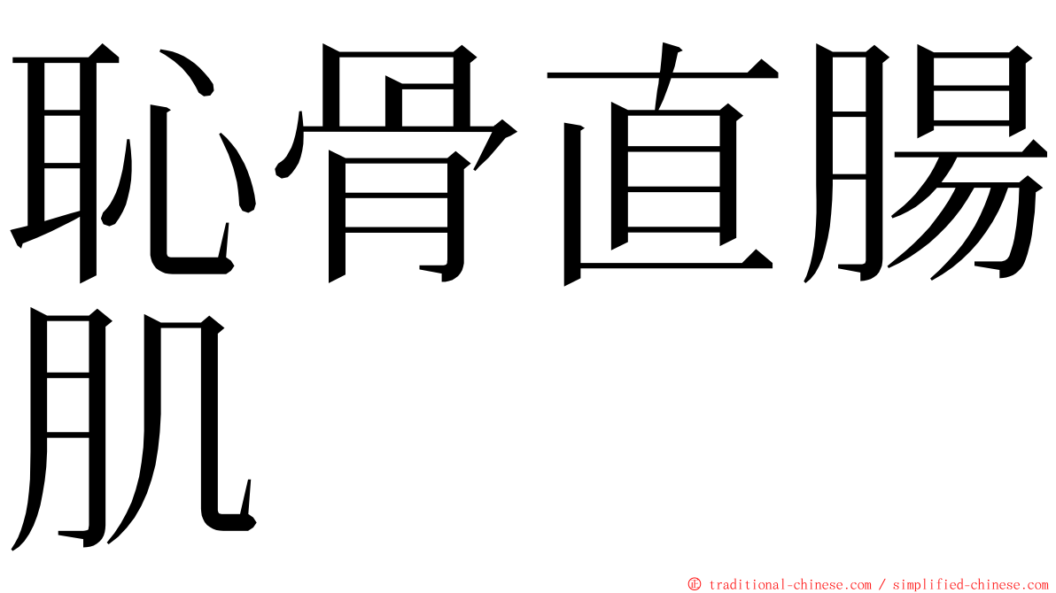 恥骨直腸肌 ming font