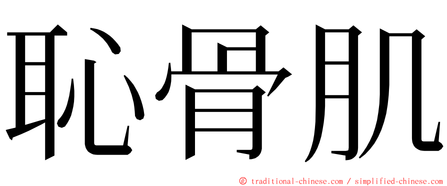 恥骨肌 ming font