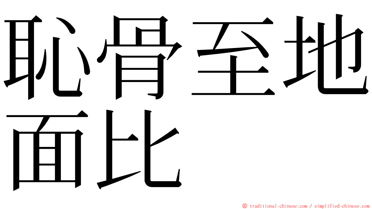 恥骨至地面比 ming font