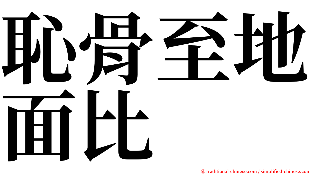 恥骨至地面比 serif font