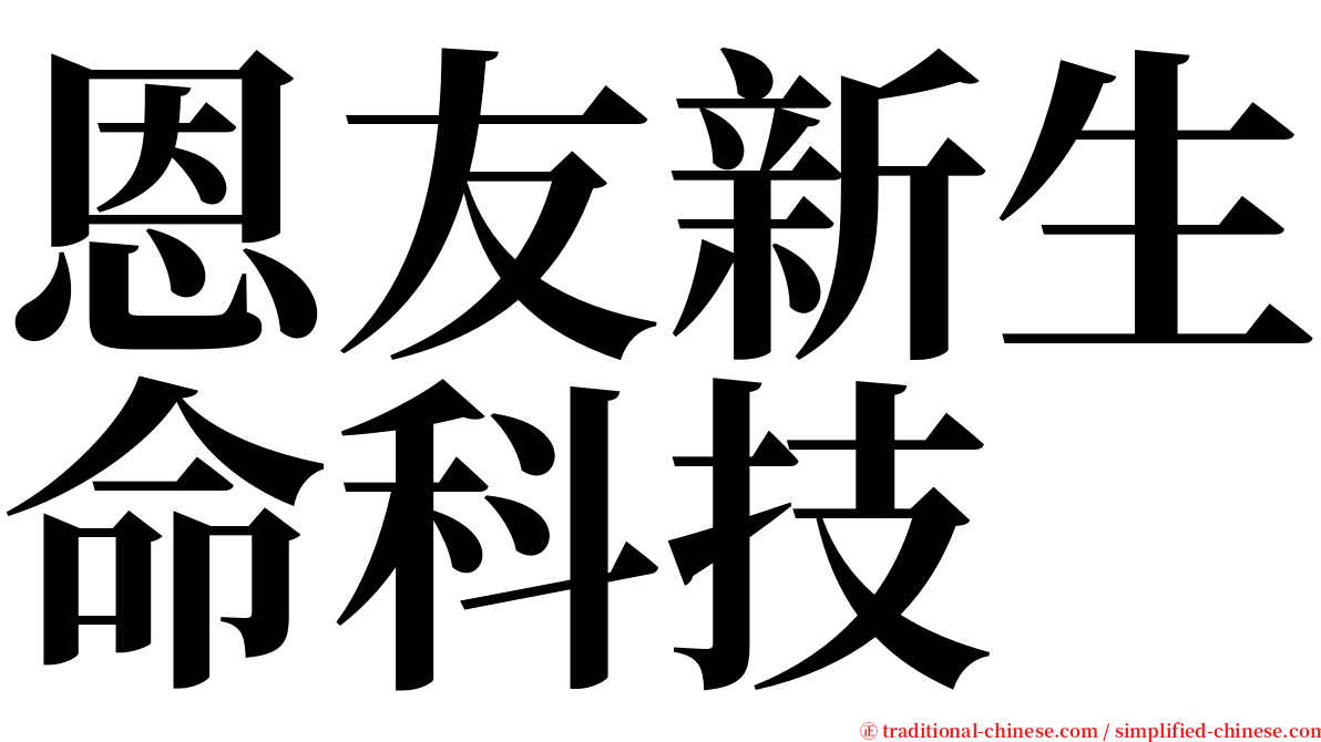 恩友新生命科技 serif font