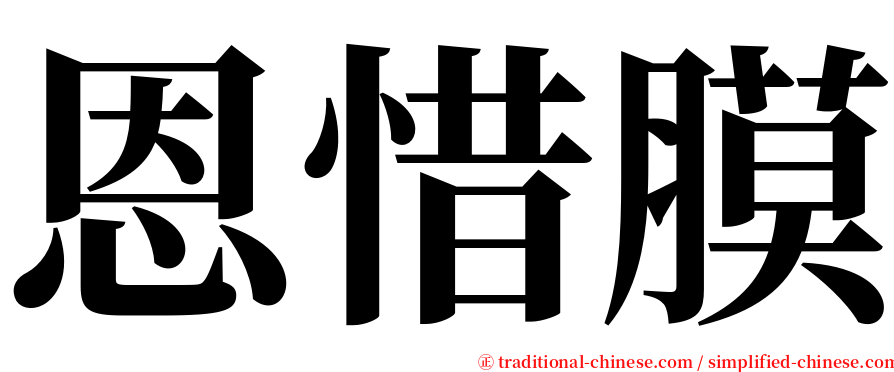 恩惜膜 serif font