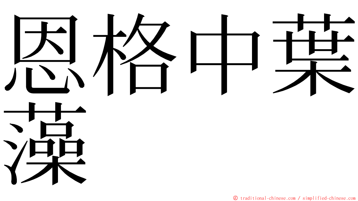 恩格中葉藻 ming font