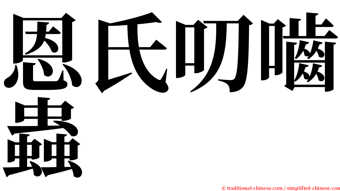 恩氏叨嚙蟲 serif font