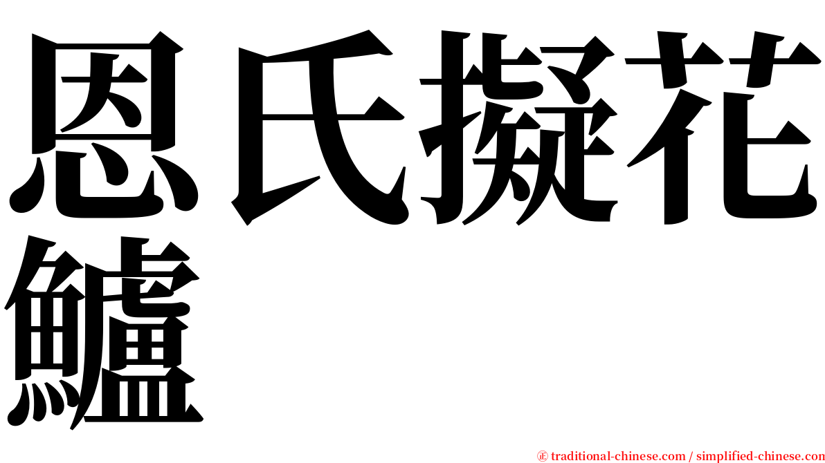 恩氏擬花鱸 serif font