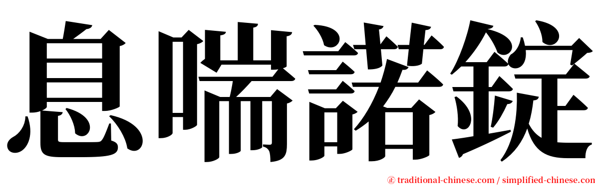 息喘諾錠 serif font