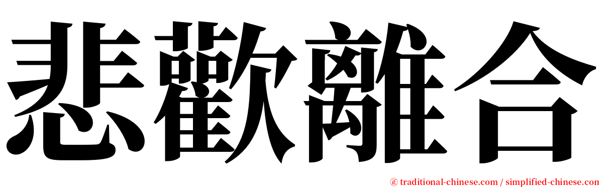 悲歡離合 serif font