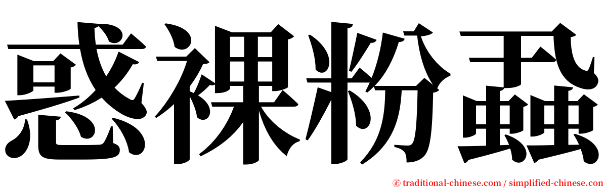 惑裸粉蝨 serif font