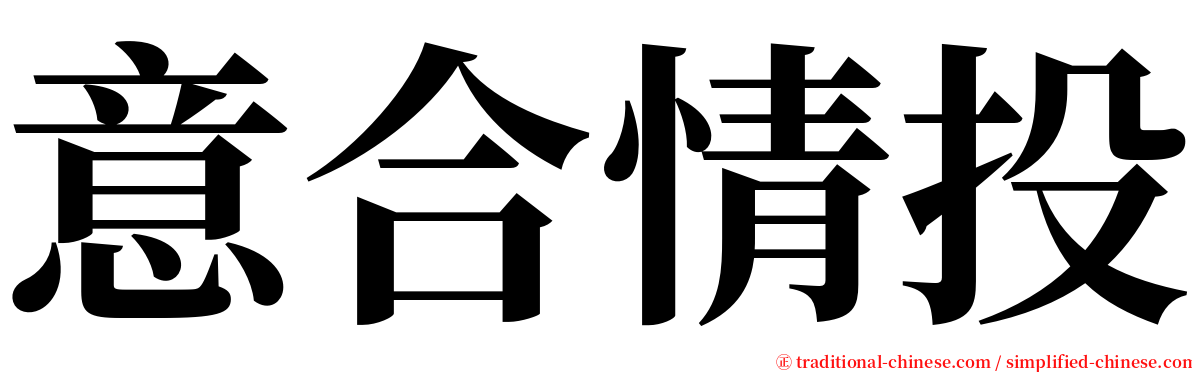 意合情投 serif font