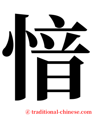 愔 serif font