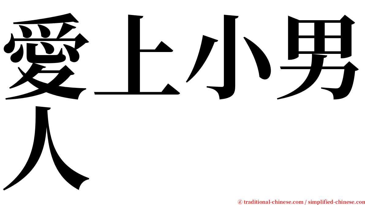 愛上小男人 serif font