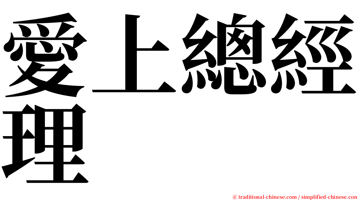 愛上總經理 serif font