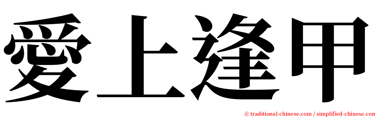 愛上逢甲 serif font