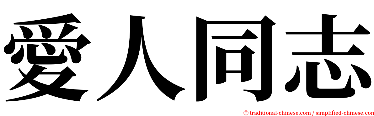 愛人同志 serif font