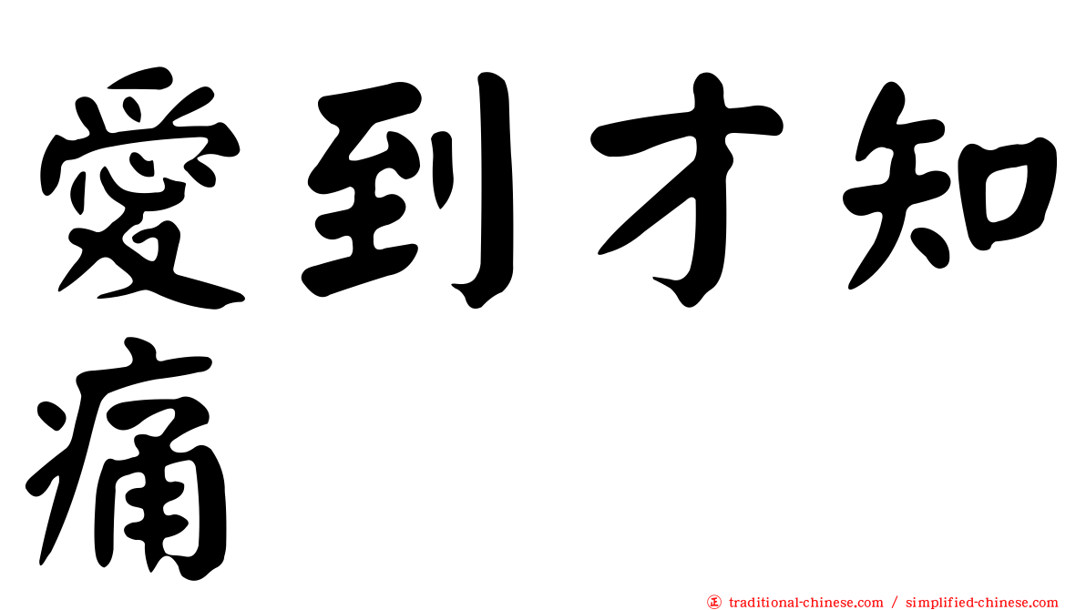 愛到才知痛