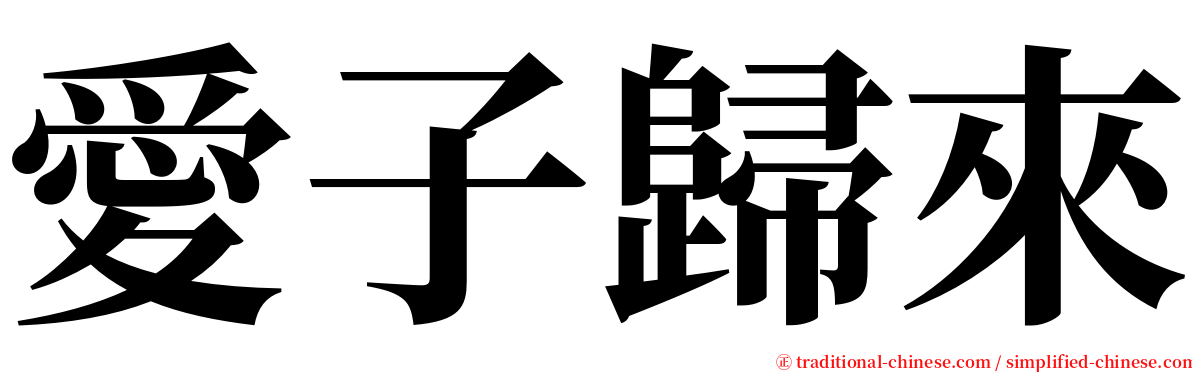 愛子歸來 serif font