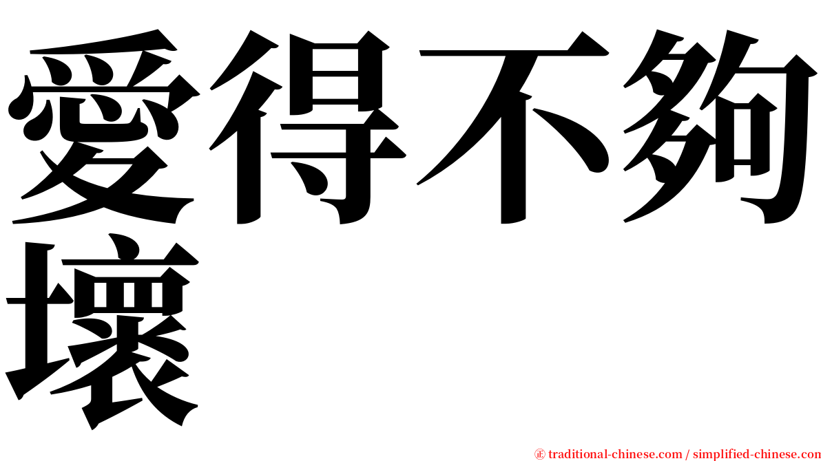 愛得不夠壞 serif font