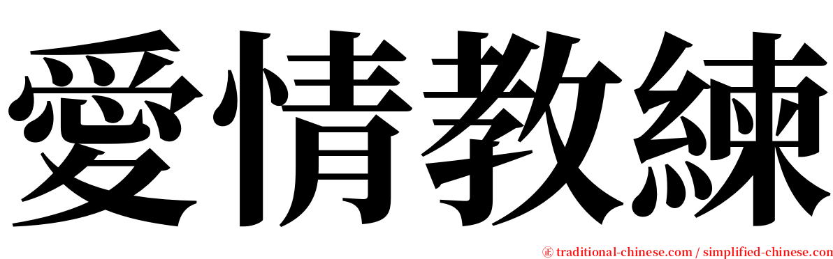 愛情教練 serif font