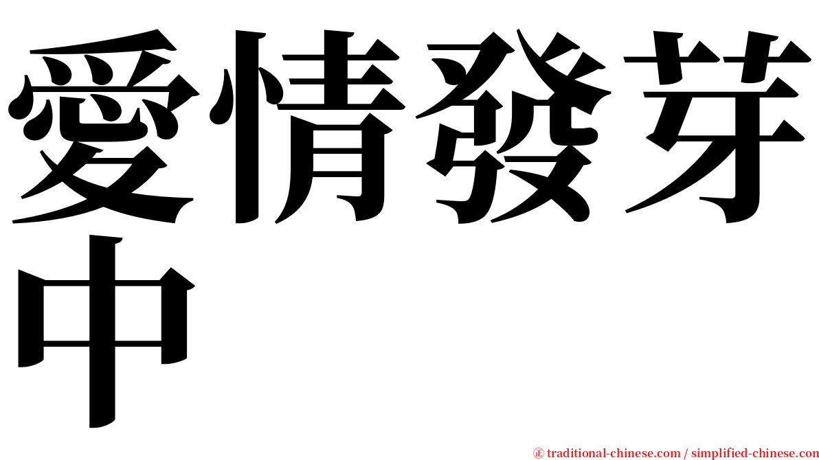 愛情發芽中 serif font