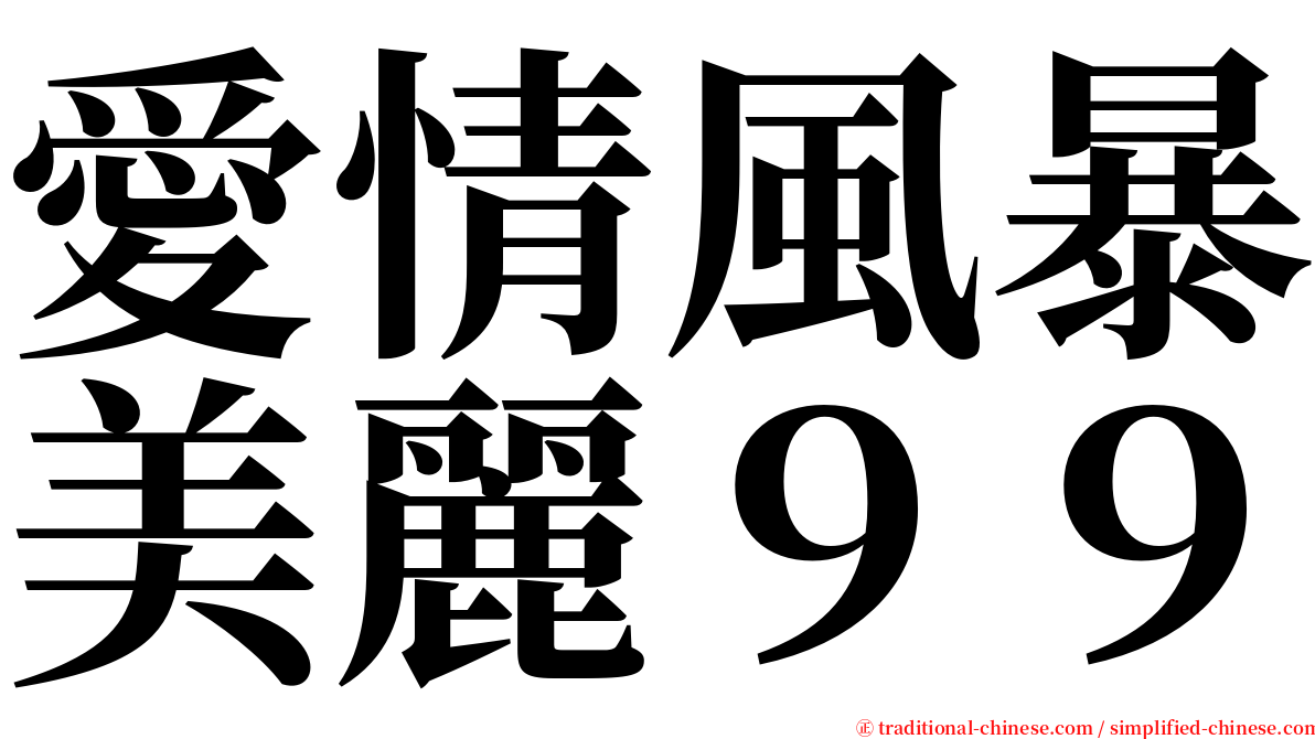 愛情風暴美麗９９ serif font