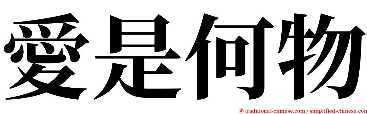 愛是何物 serif font