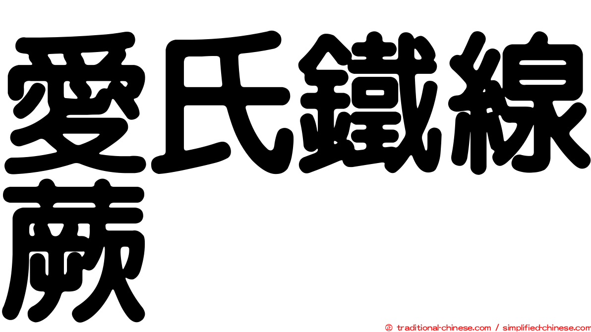 愛氏鐵線蕨