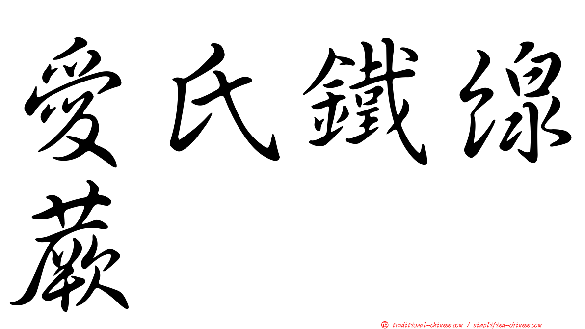 愛氏鐵線蕨