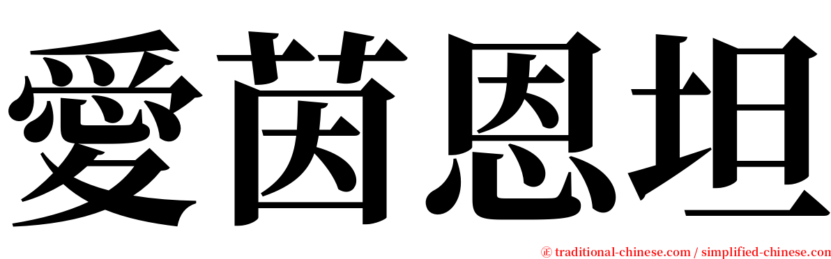 愛茵恩坦 serif font