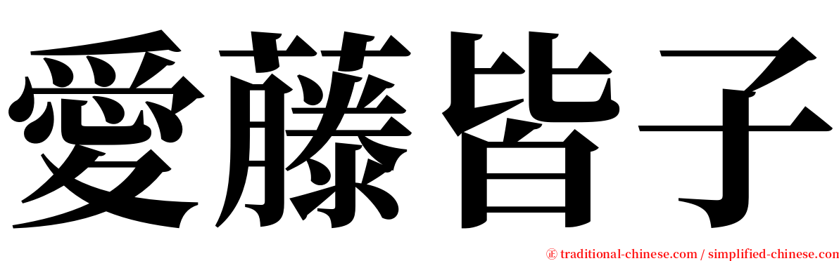 愛藤皆子 serif font