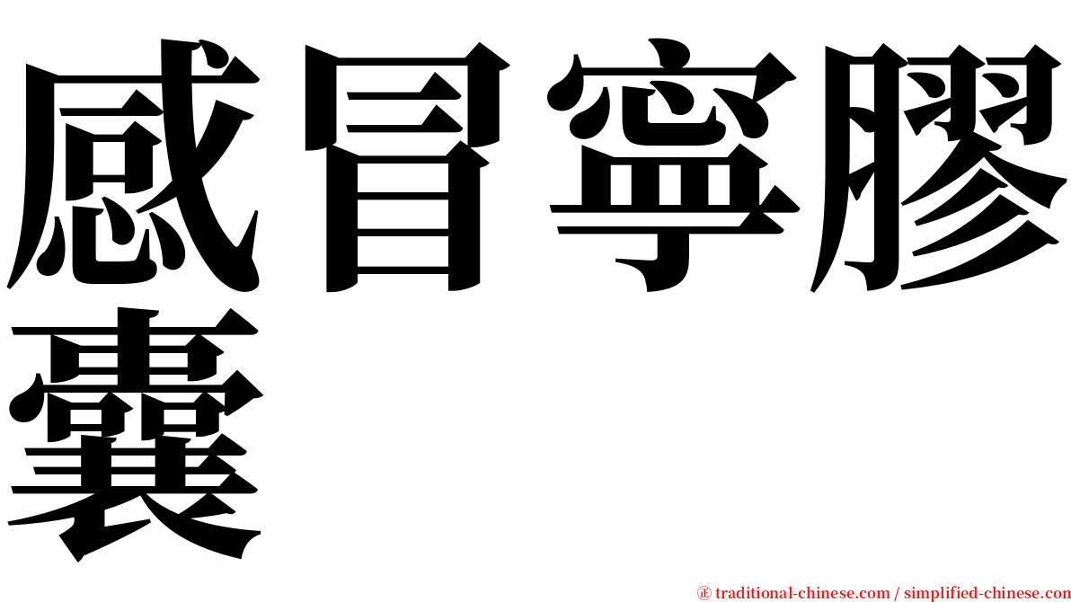 感冒寧膠囊 serif font