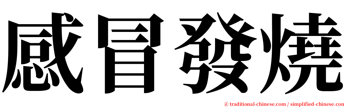 感冒發燒 serif font