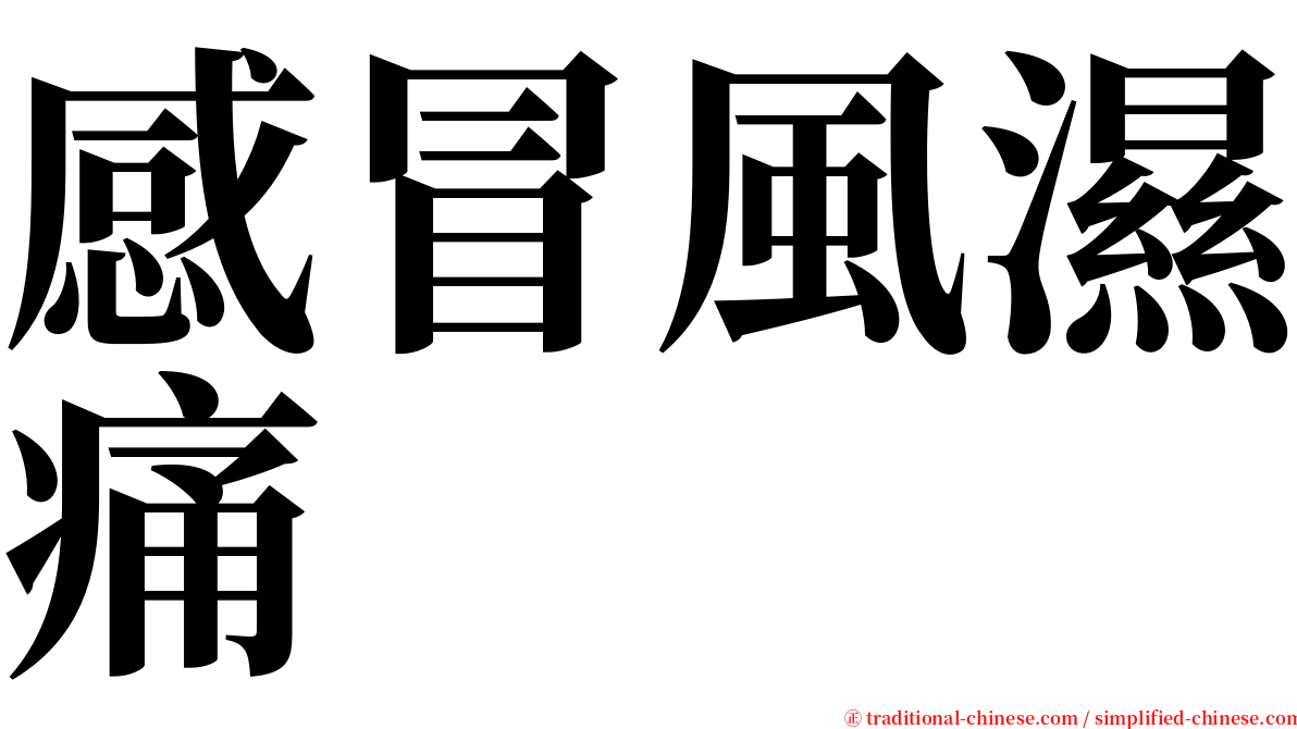 感冒風濕痛 serif font