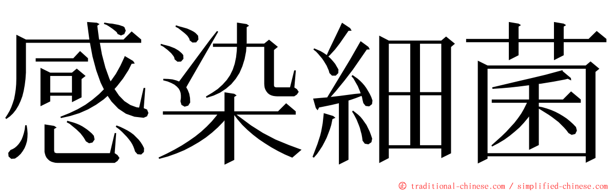 感染細菌 ming font