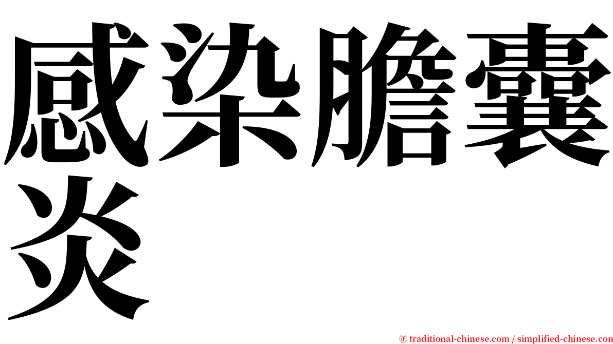 感染膽囊炎 serif font
