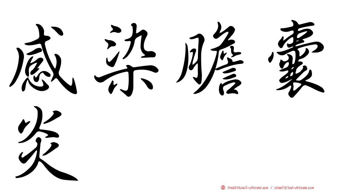 感染膽囊炎