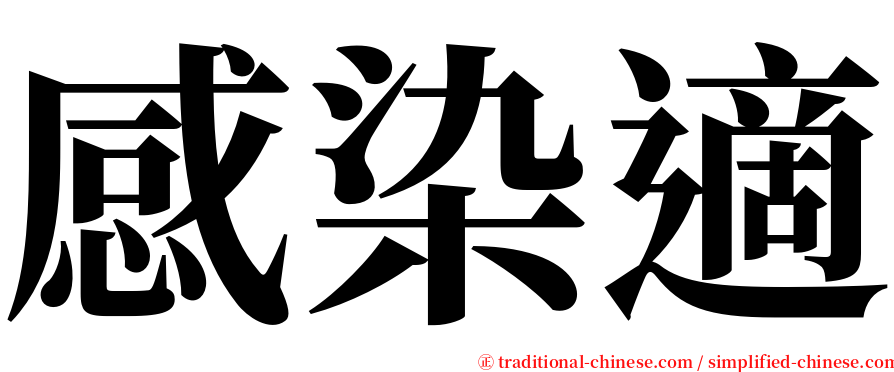 感染適 serif font