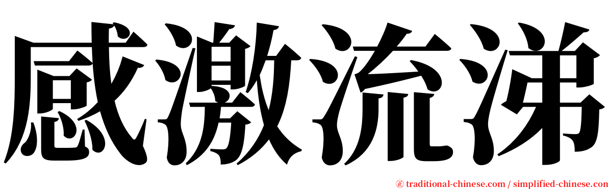 感激流涕 serif font