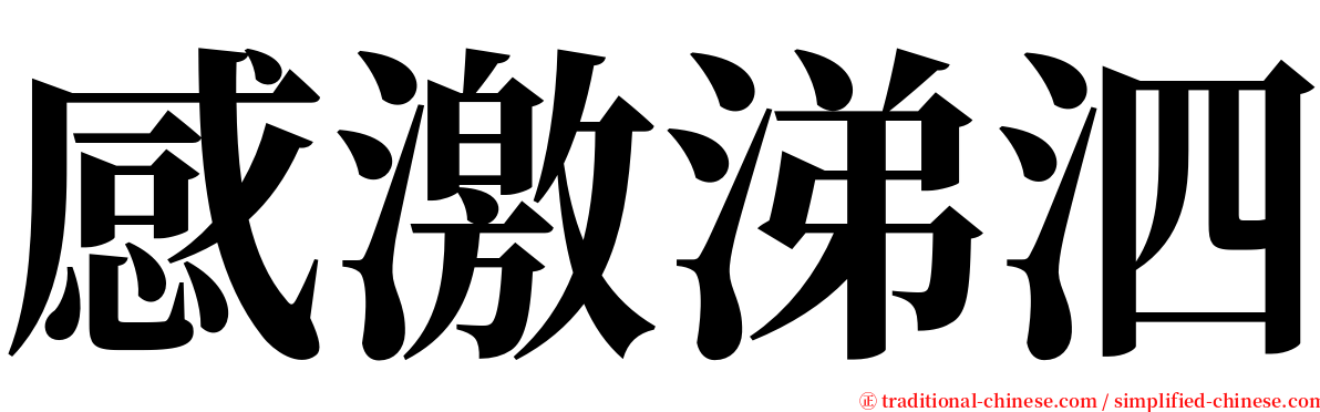 感激涕泗 serif font