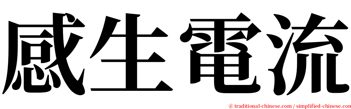 感生電流 serif font