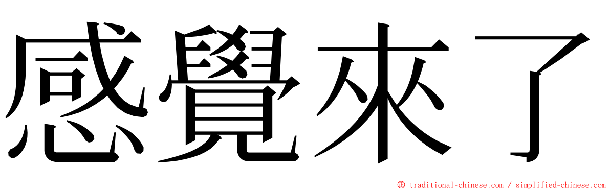 感覺來了 ming font