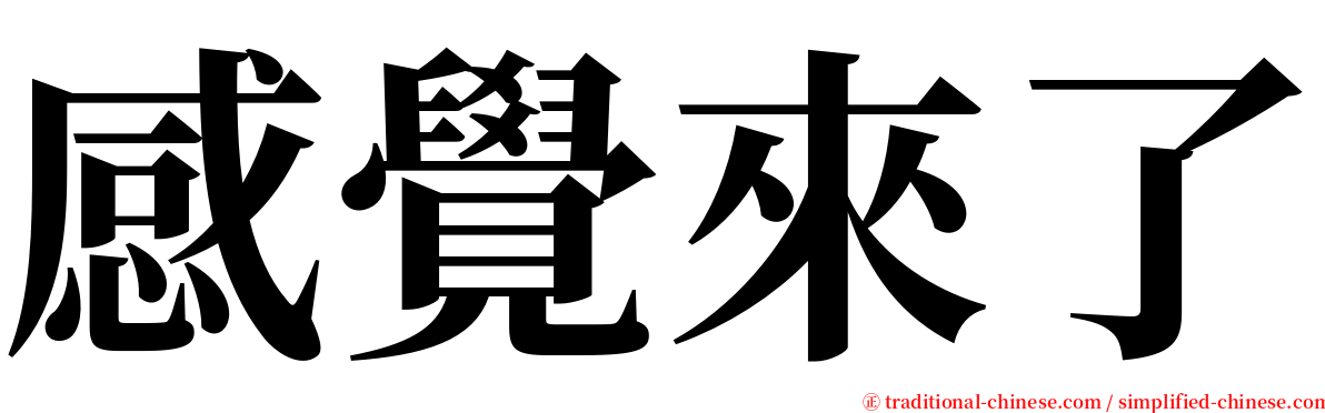 感覺來了 serif font