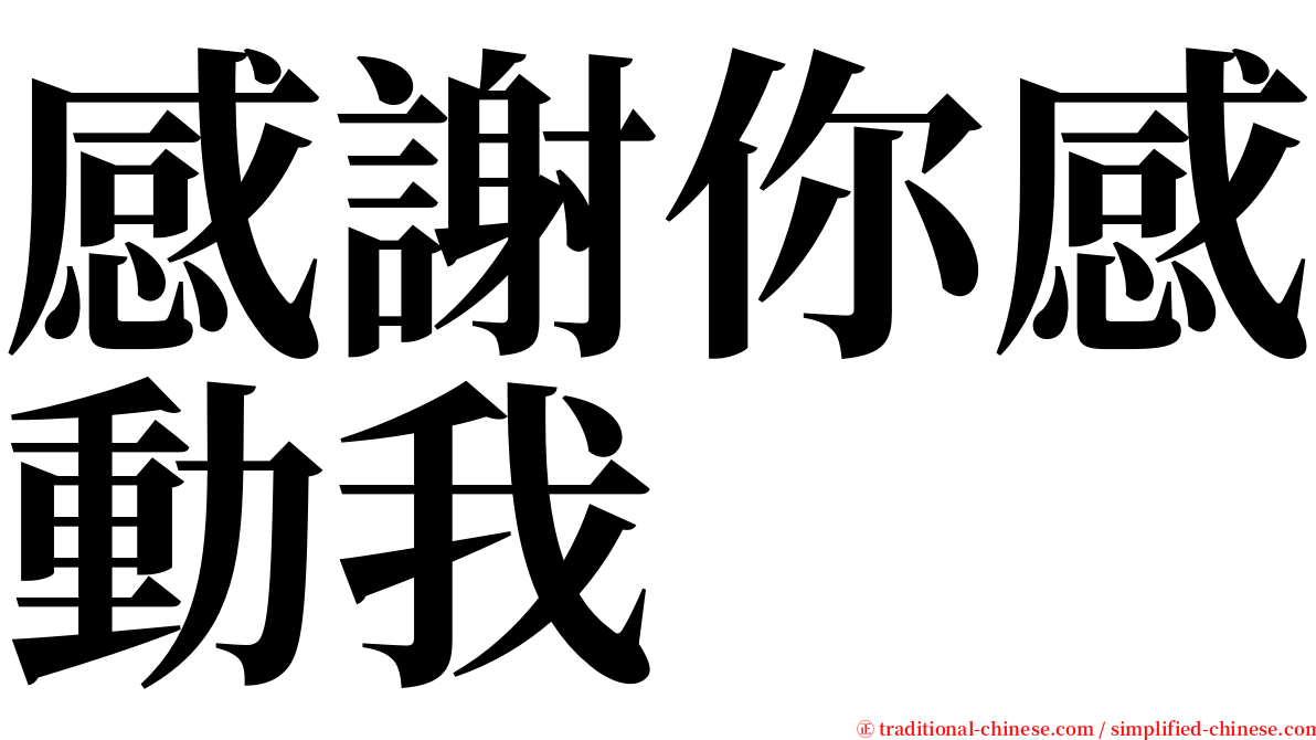 感謝你感動我 serif font