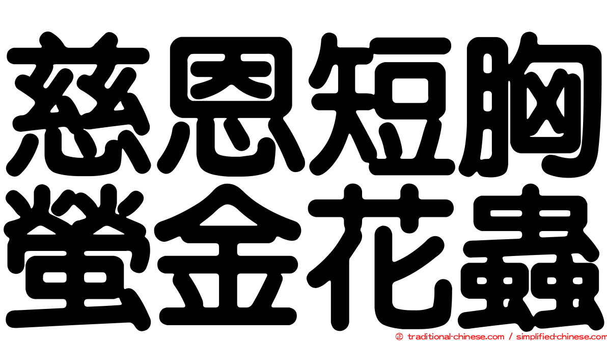 慈恩短胸螢金花蟲