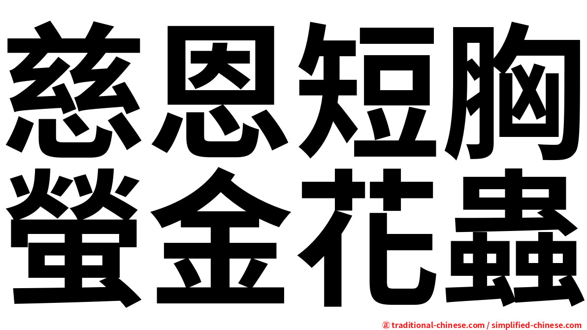 慈恩短胸螢金花蟲