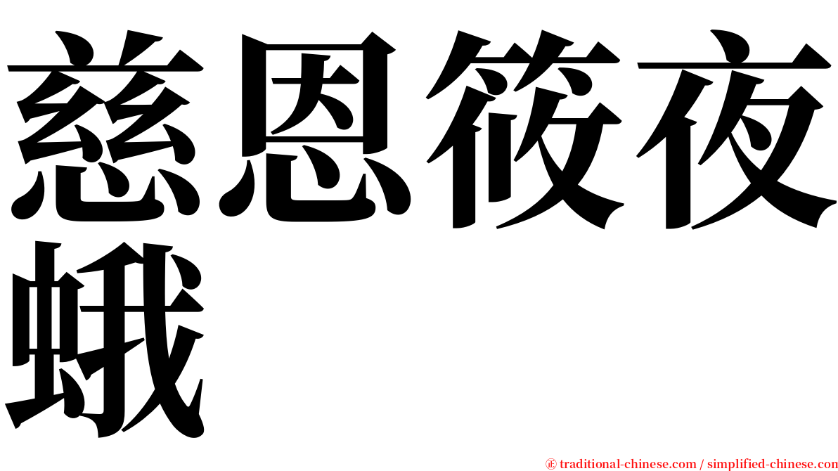 慈恩筱夜蛾 serif font