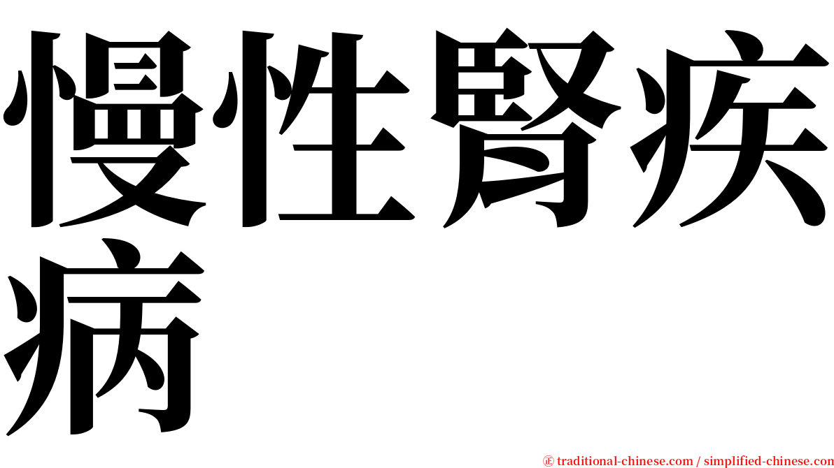 慢性腎疾病 serif font