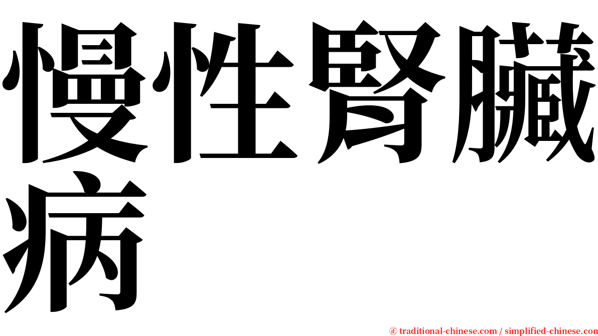 慢性腎臟病 serif font